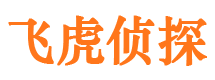 江阳捉小三公司